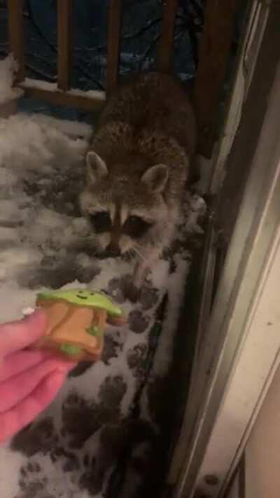 Charles gets a stale Christmas cookie