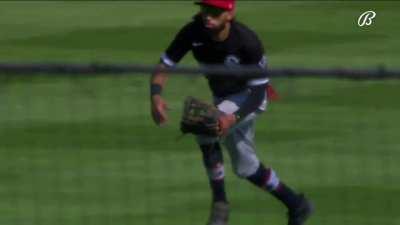 [Highlight] Eric Haase with an inside the park home run after Billy Hamilton misses the diving catch