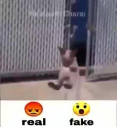 REAL😡 FAKE😯