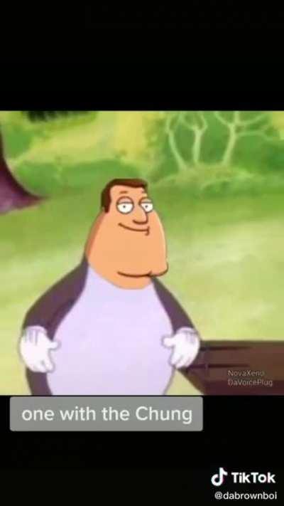 Big Chungus JOE!