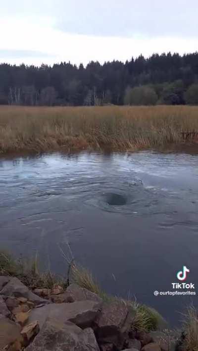 Log through whirlpool