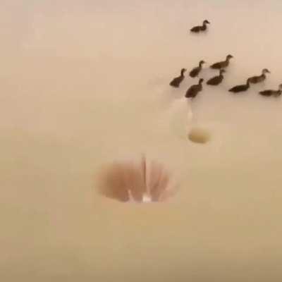 Deku whenever he sees someone in danger