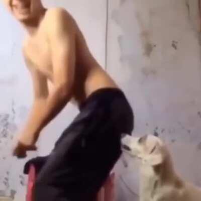 Don't test a dog bruh