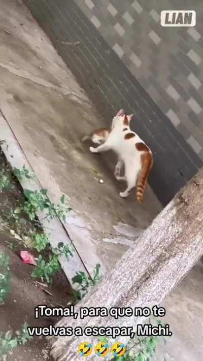 El castigo al Michi... 