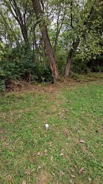 Double flipper at 24 feet. Why is this so satisfying?