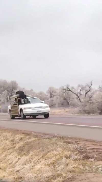 But who is steering???