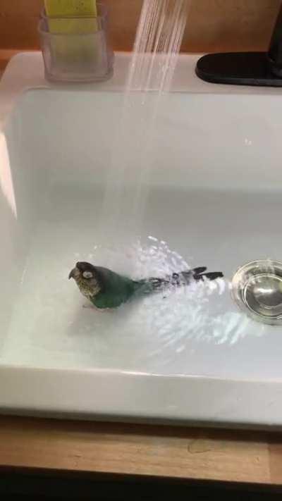 Aries glitched out while taking a bath