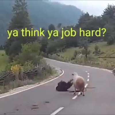 Quick turn of events!