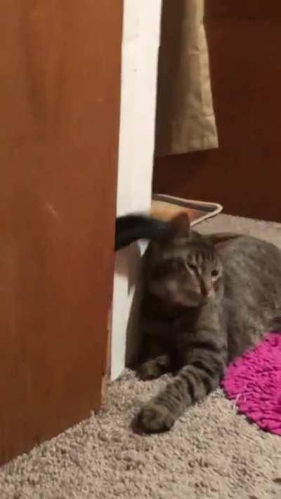 I wanna get the sword! I wanna get the... wait, that’s fur!