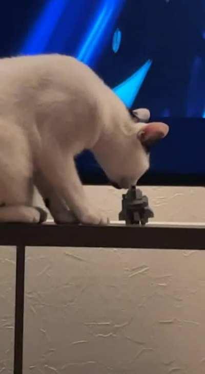 Put it back! No I don’t think I will.