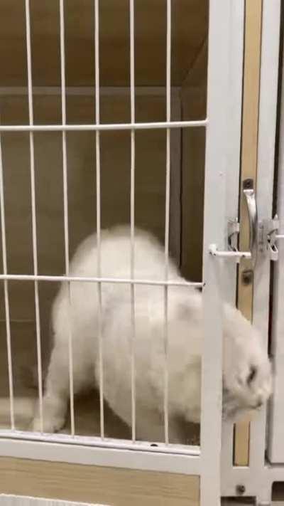 Don't underestimate my intelligence 🤣