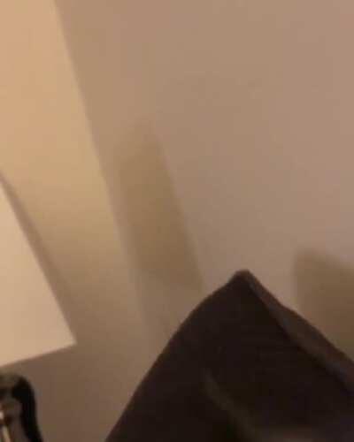 They chirpy and they're spooky, mysterious and scritchy, they're altogether snuggly, the Adam's Cockatiel. Their cage is a gymnasium where people give them seeds yum, every day is just a bit more fun, the Adam's Cockatiel