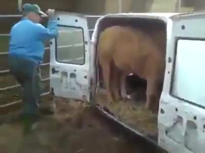 What can fit in this car?