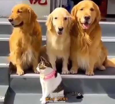 Time for a family portrait