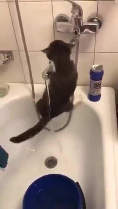 Никудышный ниндзя