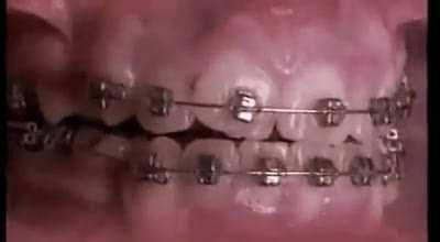 British people after immigrating