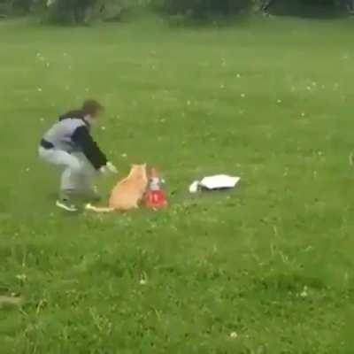 boy saving cat from science experiment!