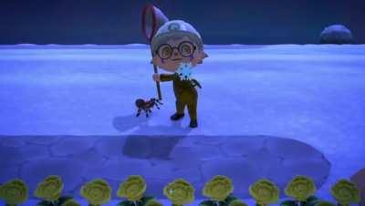 GET DOWN MR. PRESIDENT