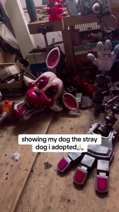 Subiendo memes de fnaf hasta que salga la secuela día 221