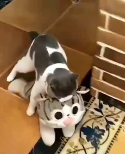 Times can be tough when your favorite toy is bigger than you are.