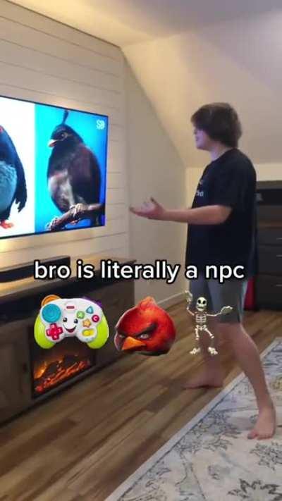 Npc behavior