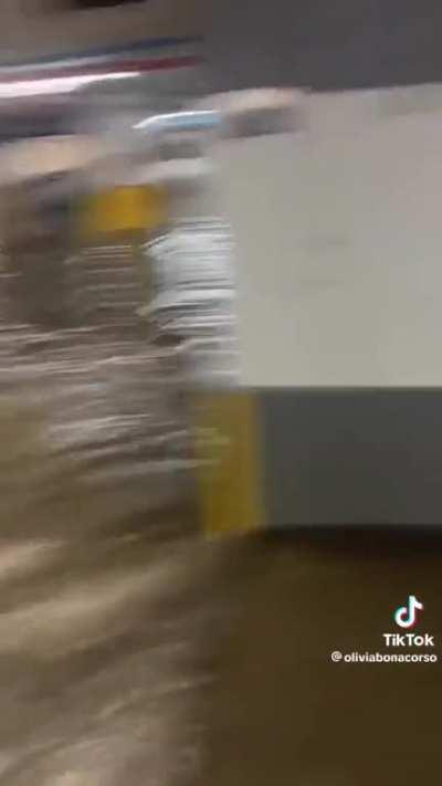 Fort Lauderdale is becoming the land equivalent of the titanic