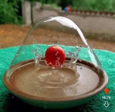 The bubble didn’t burst