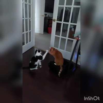 This went on for far too long.