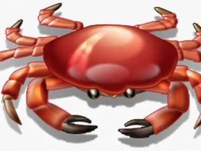 Half_Life in powerpoint.