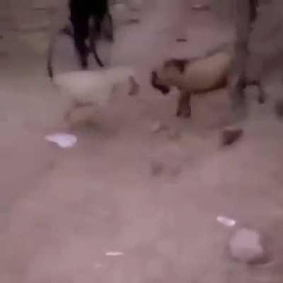 Porque cuando publico en reddit no se ven los post a los demas? Prueba para ver si es cierto