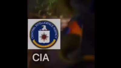 Something something Infringement