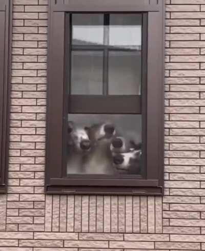 I can smell the view