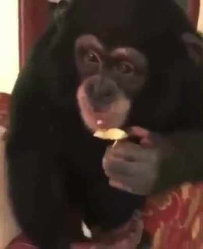 MONKEY GETS LIT