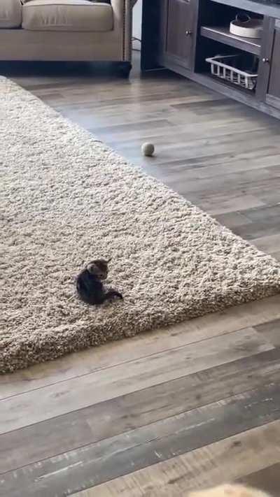 Explain your smolness