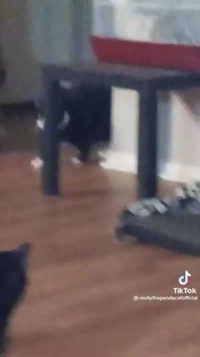 🎶Oh lawd here she comes!🎶