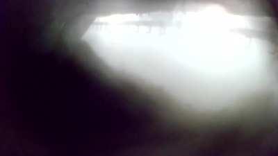 Iowa Select Farms (the 8th largest US pork producer) roasting unwanted pigs alive because it's the cheapest way to dispose of them