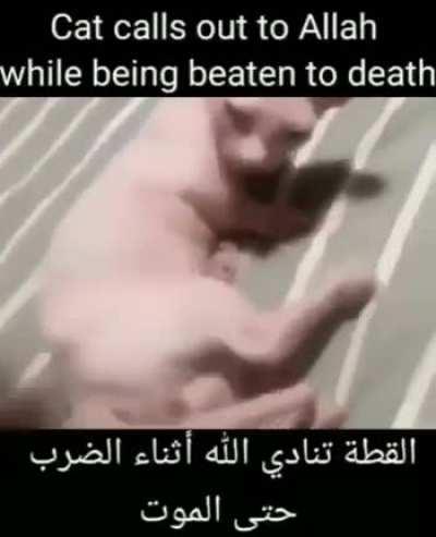 But Allah did not answer his call 😔