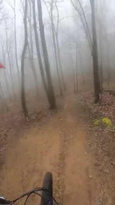 Maiden voyage on my new (to me) bike!