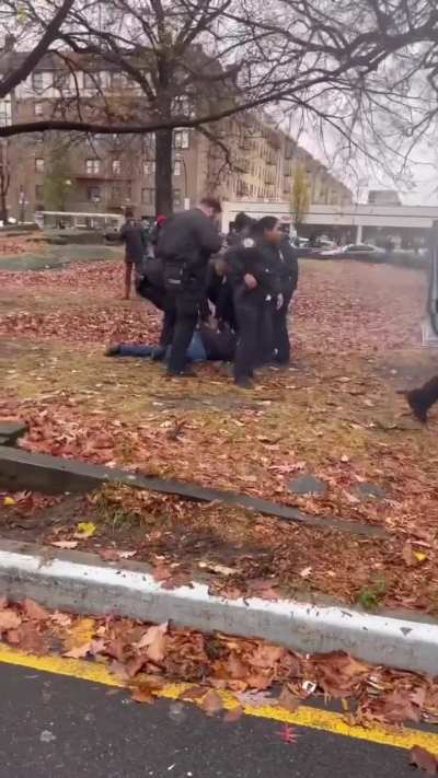 NYPD Car chase freakout 