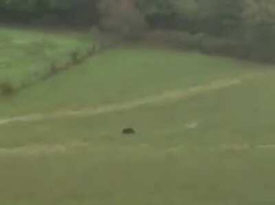 Jeder Stümper bekommt die Jagtkarte und ja am Ende steht unten links jemand. Übrigens während man mit 0,5 Promille nicht mehr Autofahren darf sind 2 Promille und mit einer Waffe im Wald kein Problem. Versteht mich nicht falsch die meisten machen einen gut