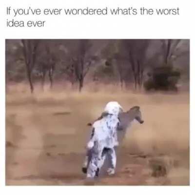 Who thought this was a good idea?