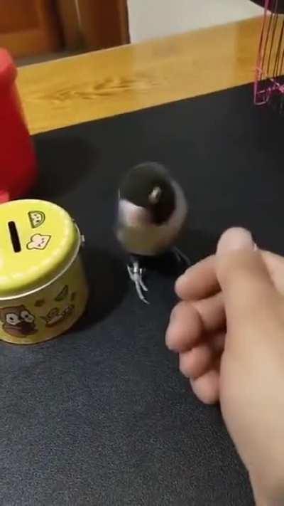 Love how he slams down the door, all done with this bullshit =)