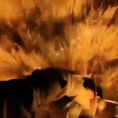 Stolen from r/SCPMemes