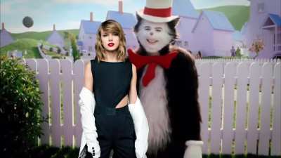 Cat talking to Taylor Swift