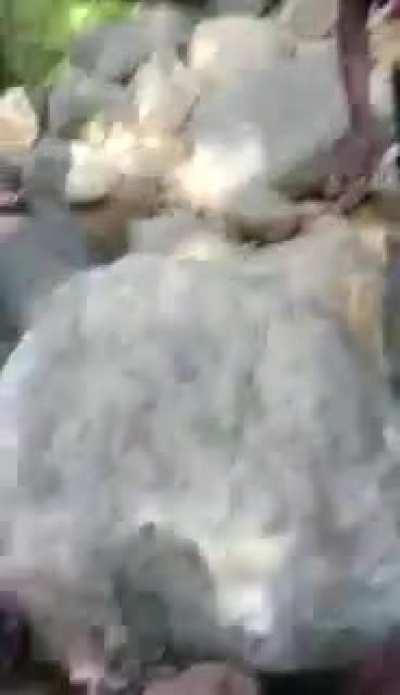 I'll take this. Thank you very much.