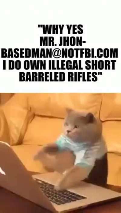 FBI THIS IS A JOKE I DO NOT OWN ILIGAL GUNS OK LOF U