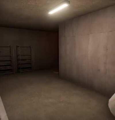 Nothing to see here! Just a penguin and his sleepy friend