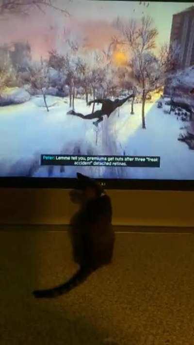 My cat, Astrid, silently and intently watched me beating up waves of Underground punks. I was finally able to get my phone out and capture her Spidey obsession. Too bad I didn’t have the cat suit on!