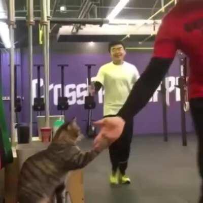 A very important job at the gym