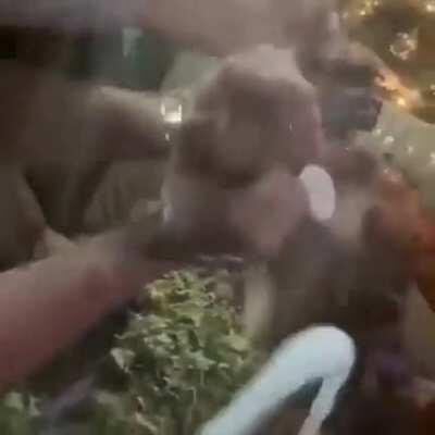 Just a complete waste of food